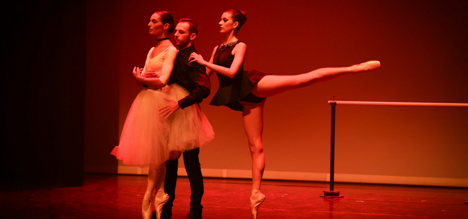 Conférence dansée LAC – Degas -180