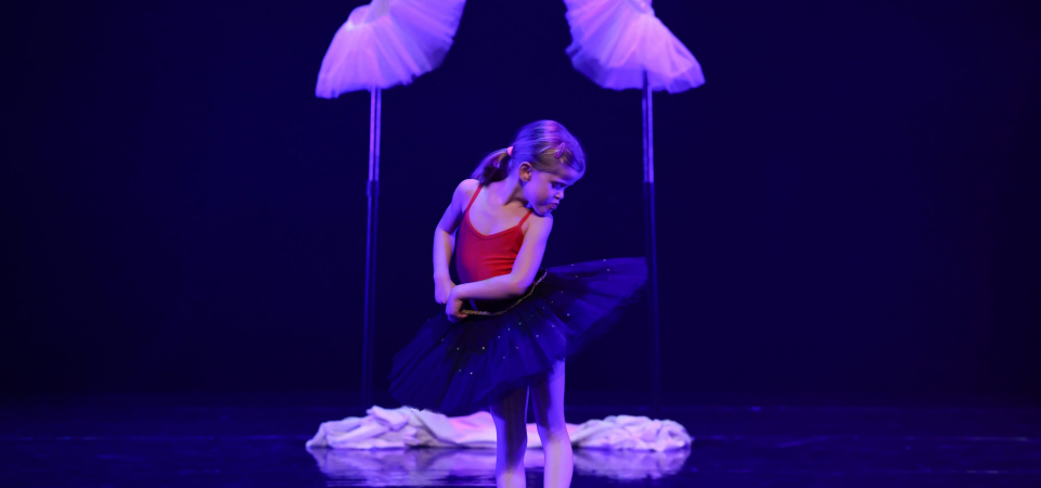 LAC – spectacle-54 copie